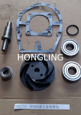 Cummins NT855 Engine Parts Water Pump Repair Kit 3801712 3046200 3633805 3067613 3082622