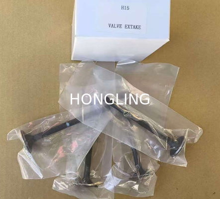 Nissan H15 Engine Model Steel Valve And Guide