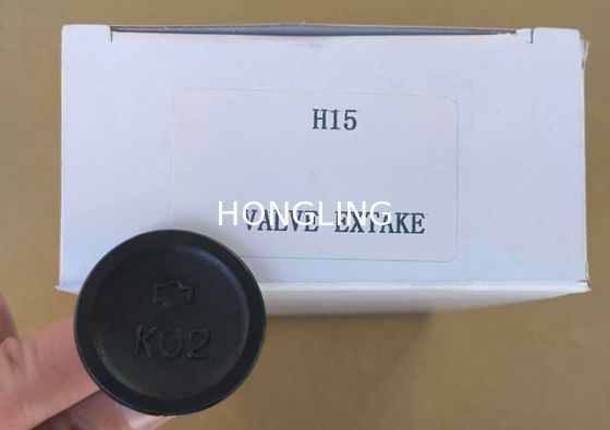 Nissan H15 Engine Model Steel Valve And Guide
