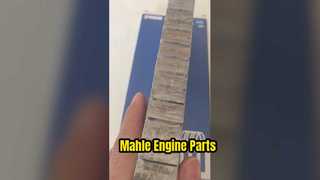 MAHLE D6D MOTORLAGER 82533100 Cilindervoeringset RIK Zuigerveren 3837146 Mahle 03816vo
